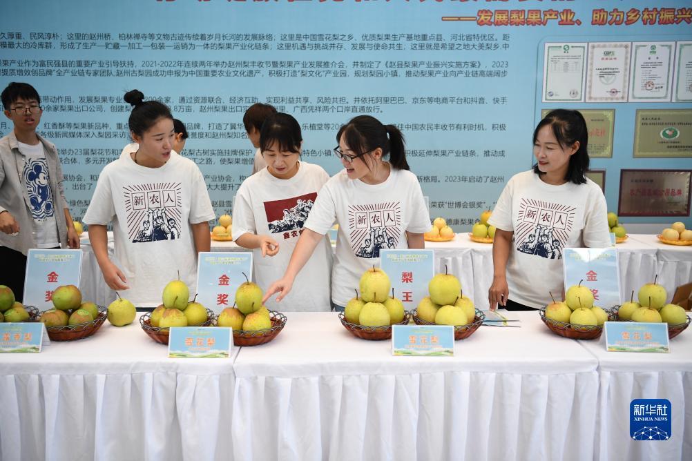 真人百家乐